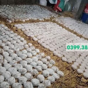 Hình ảnh bà con tự làm men lá Bằng Phúc từ thảo dược