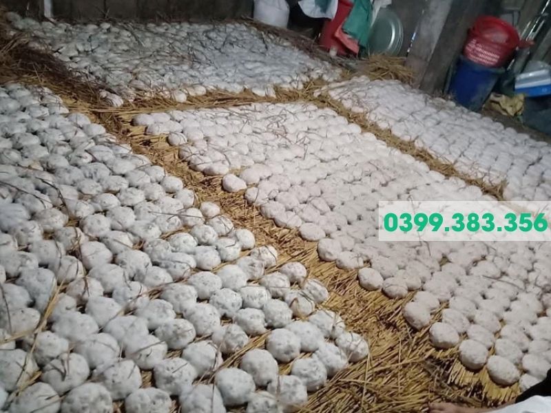 Hình ảnh bà con tự làm men lá Bằng Phúc từ thảo dược
