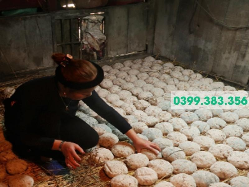 Hình ảnh bánh men lá Bằng Phúc (quả men lá)