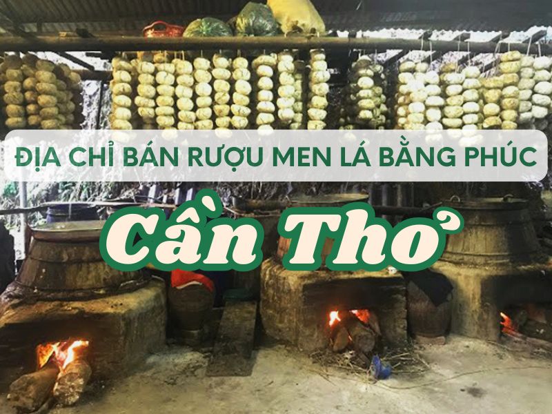 Hình ảnh địa chỉ bán rượu men lá Bằng Phúc Cần Thơ