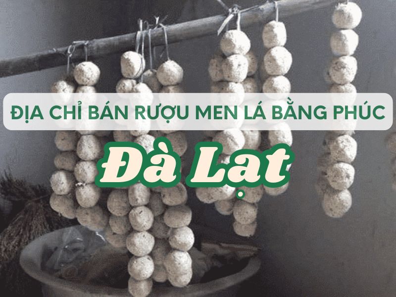 Hình ảnh địa chỉ bán rượu men lá Bằng Phúc Đà Lạt