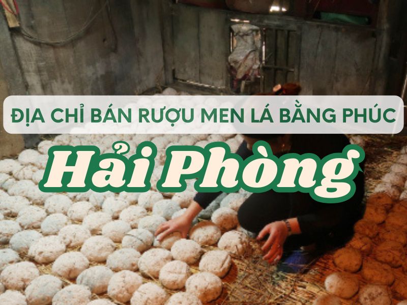 Hình ảnh địa chỉ bán rượu men lá Bằng Phúc Hải Phòng