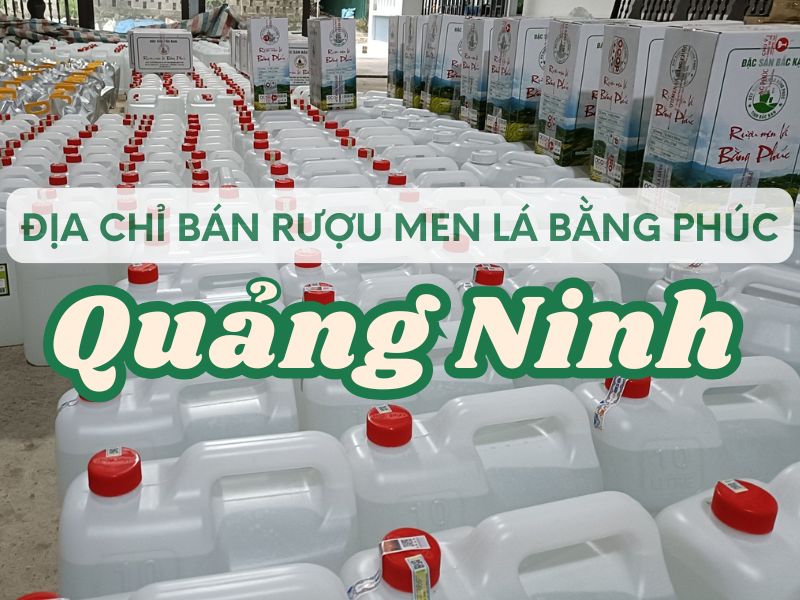 Hình ảnh địa chỉ bán rượu men lá Bằng Phúc Quảng Ninh chính hãng