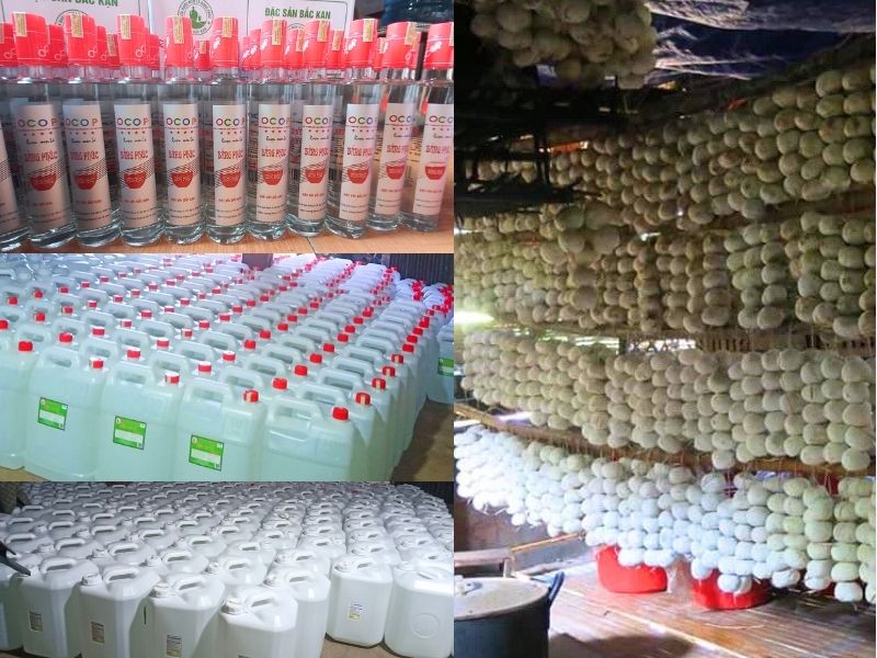 Hình ảnh địa chỉ bán sỉ rượu men lá Bằng Phúc Hà Nội, tphcm