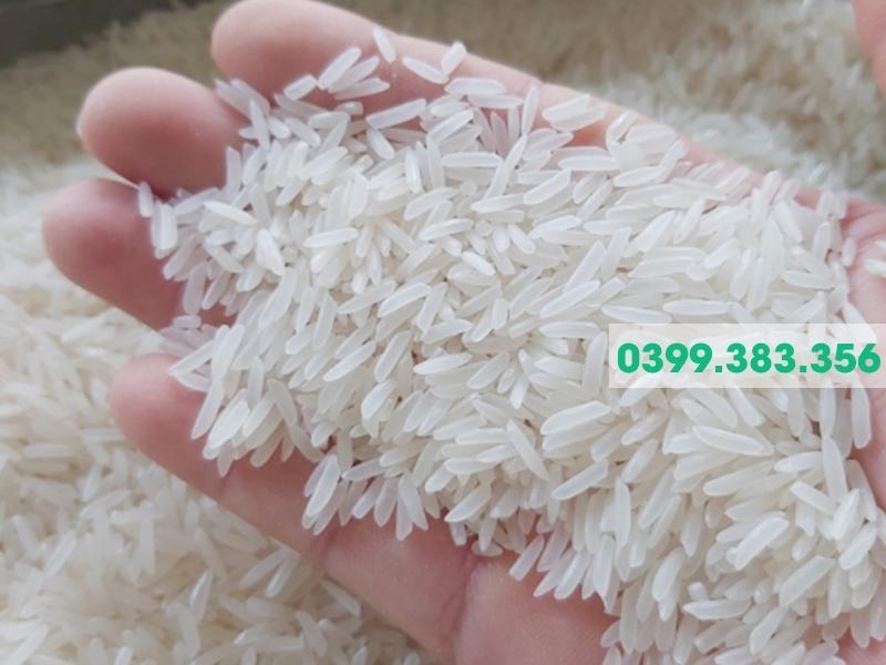 Hình ảnh gạo nấu rượu men lá Bằng Phúc đặc sản Bắc Kạn
