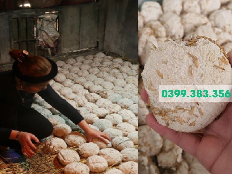 Hình ảnh làm men lá Bằng Phúc phải hái lá đúng mùa