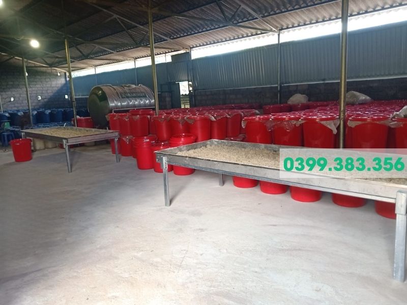 Hình ảnh ủ men vào men rượu men lá Bằng Phúc