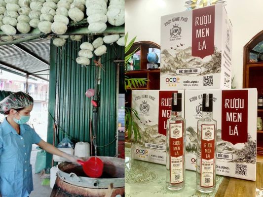 Hình ảnh rượu men lá có để lâu được không
