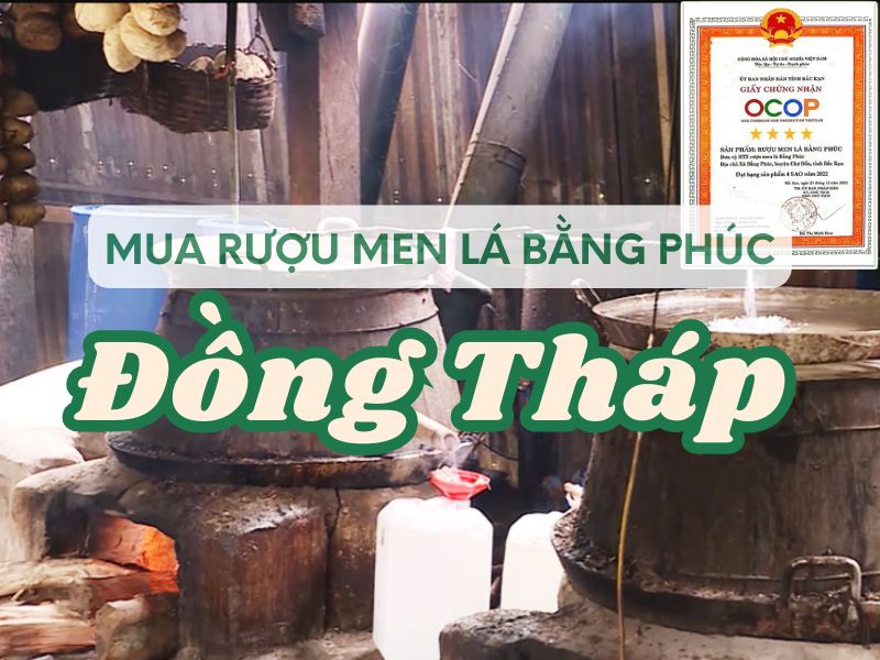 Hình ảnh địa chỉ mua rượu men lá Bằng Phúc tại Đồng Tháp