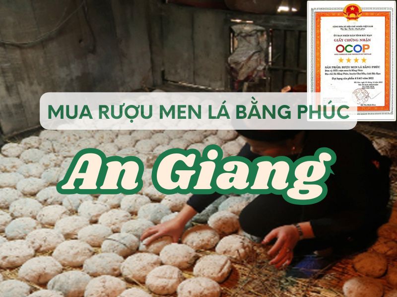 Hình ảnh địa chỉ mua rượu men lá Bằng Phúc tại An Giang