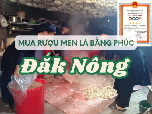 Hình ảnh địa chỉ mua rượu men lá Đắk Nông
