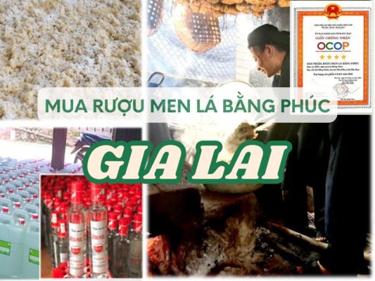 Hình ảnh địa chỉ mua rượu men lá Bằng Phúc tại Gia Lai