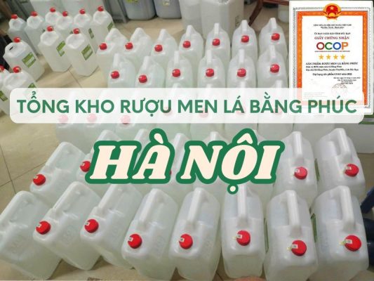 Hình ảnh tổng kho rượu men lá Bằng Phúc Hà Nội
