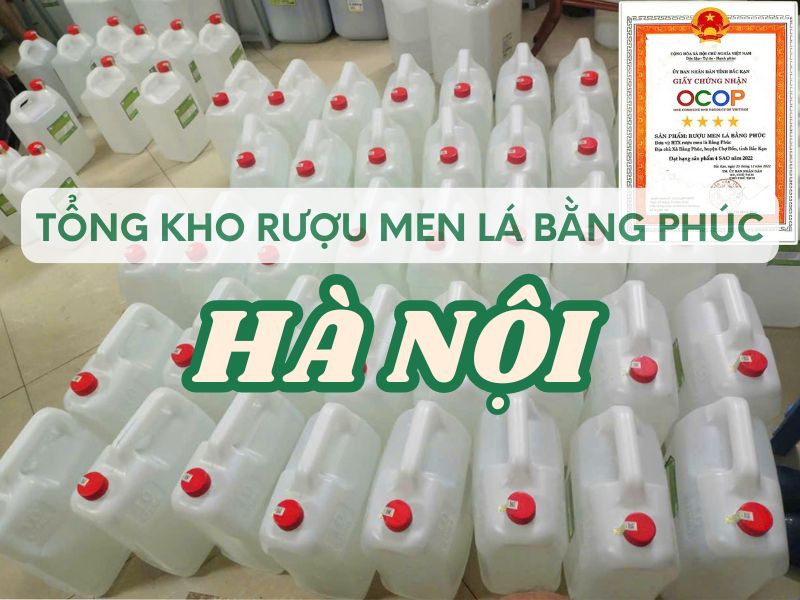 Hình ảnh tổng kho rượu men lá Bằng Phúc Hà Nội